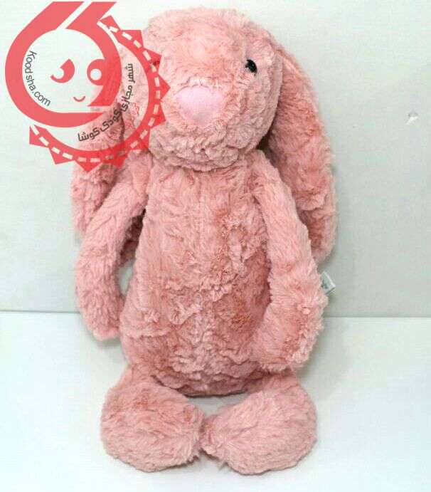 خرگوش جلی کت