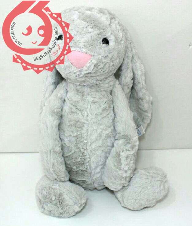 خرگوش جلی کت